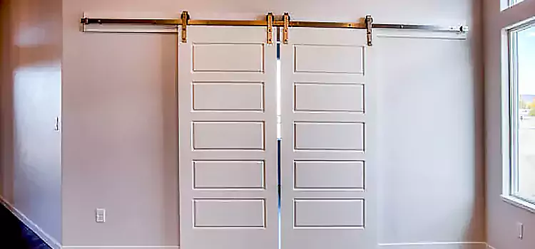 Glass Barn Door with Installation Hardware Kit Westlake