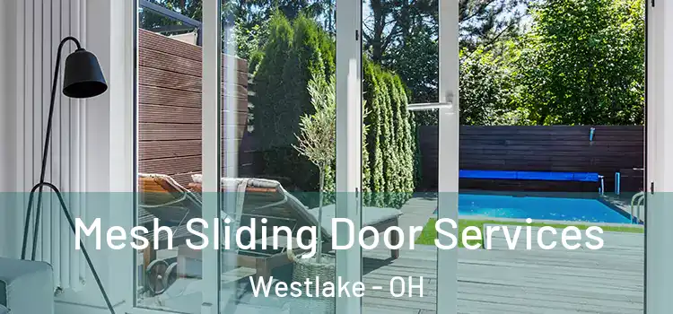 Mesh Sliding Door Services Westlake - OH