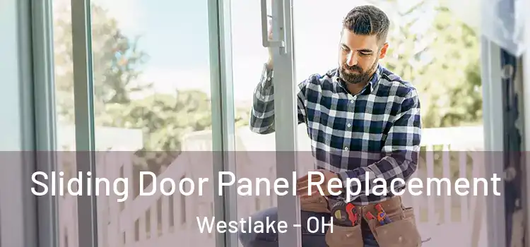  Sliding Door Panel Replacement Westlake - OH